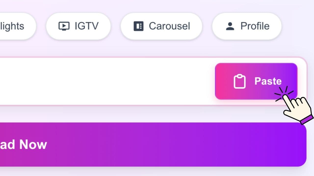 Paste URL in InstaDWN